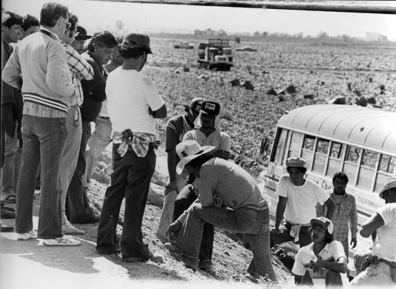 (3274) Cesar Chavez, Field Work, Arizona, 1982. (3274) Cesar Chavez, Field Work, Arizona, 1982.